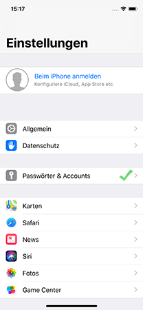 iPhone Einstellungen